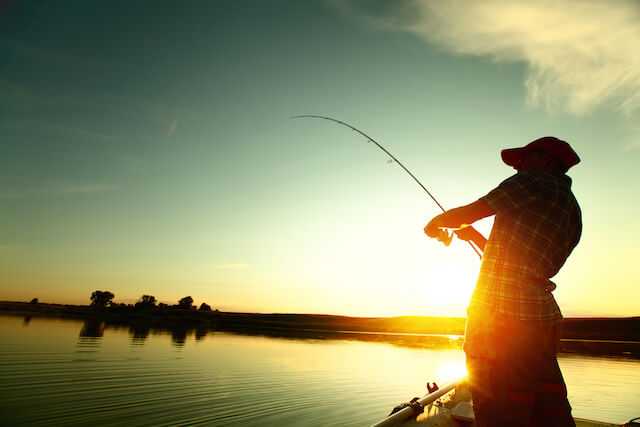 Hình ảnh câu cá luôn hiện lên là sự yên bình