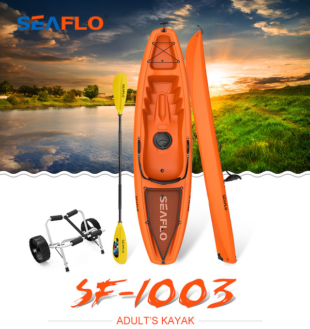 Seaflo SF1003
